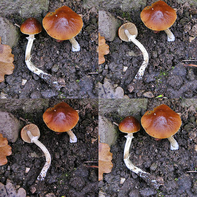 Ritrovamenti marted� 3 aprile.